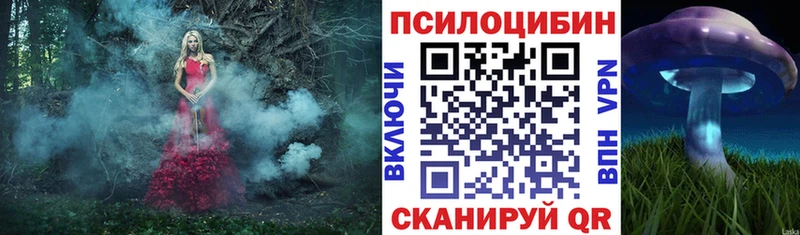 Купить где  Щёлково  Псилоцибиновые грибы Psilocybe