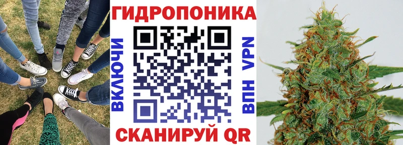 Бошки Шишки LSD WEED  Купить закладки  Щёлково 